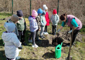 Познаём природу с Эколятами Познаём природу с Эколятами.